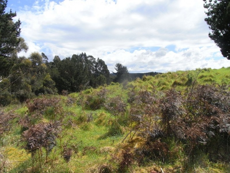 . Chrisp Street, Zeehan TAS 7469