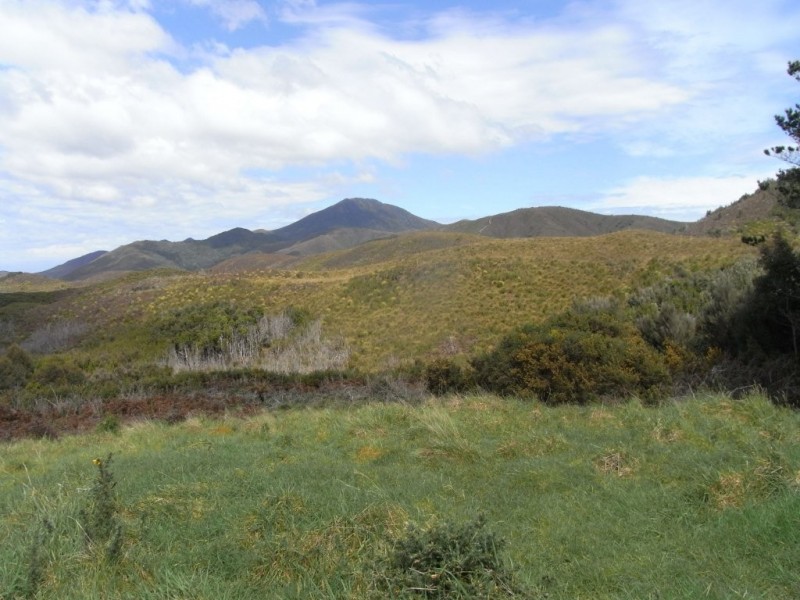 . Chrisp Street, Zeehan TAS 7469