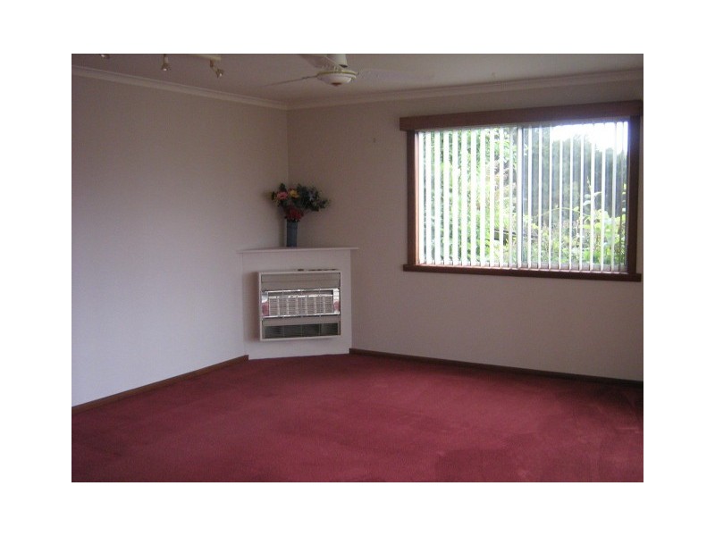 46 Solly Street, Zeehan TAS 7469