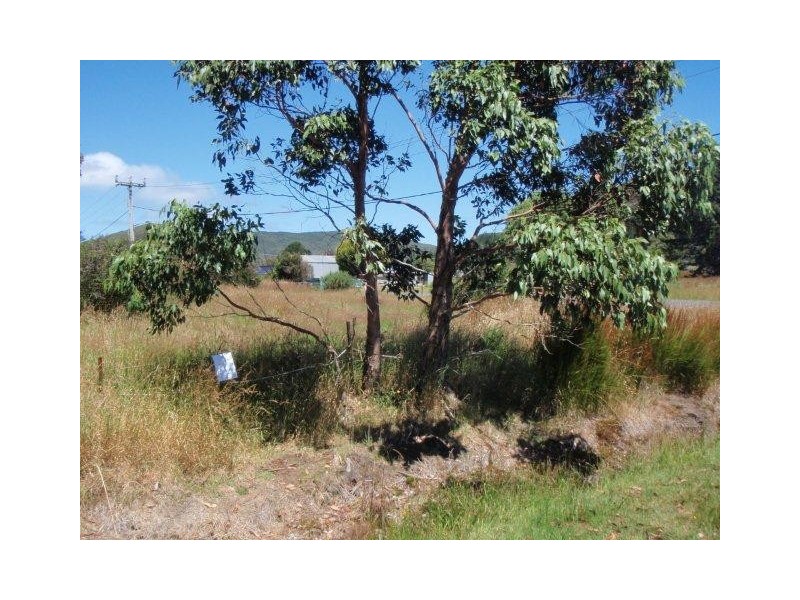 0 Shaw Street, Zeehan TAS 7469