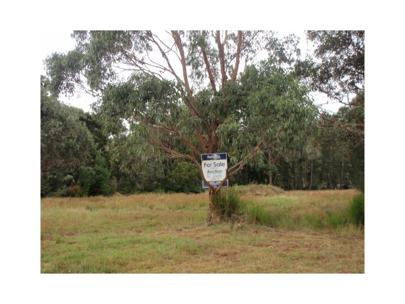 0 Adams Street, Zeehan TAS 7469