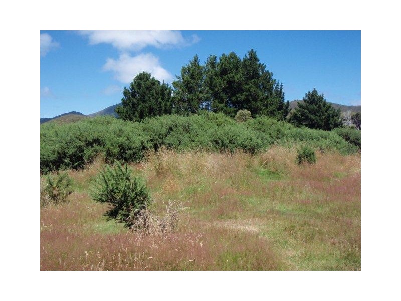 Lot 1, 3 and 4 Counsel Street, Zeehan TAS 7469