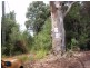 Lot 8 and 9 Harrison Street, Strahan TAS 7468