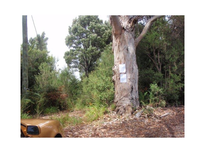 Lot 8 and 9 Harrison Street, Strahan TAS 7468