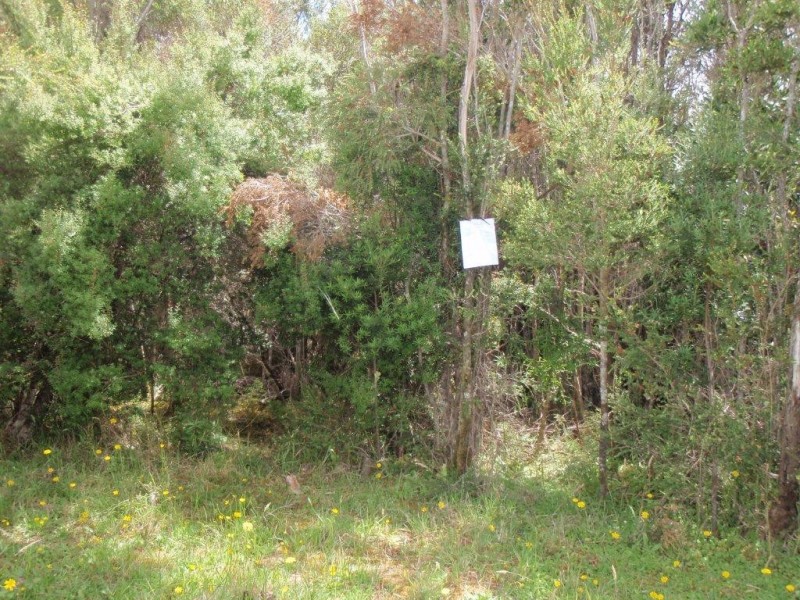 0 Herbert Street, Strahan TAS 7468