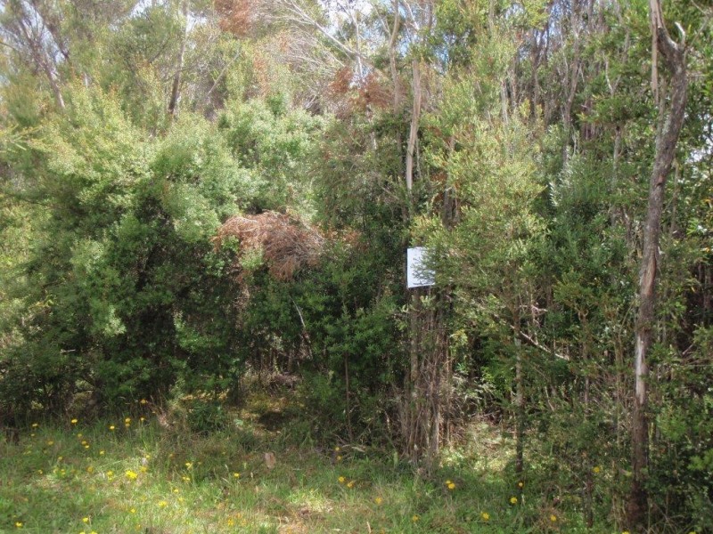 0 Herbert Street, Strahan TAS 7468