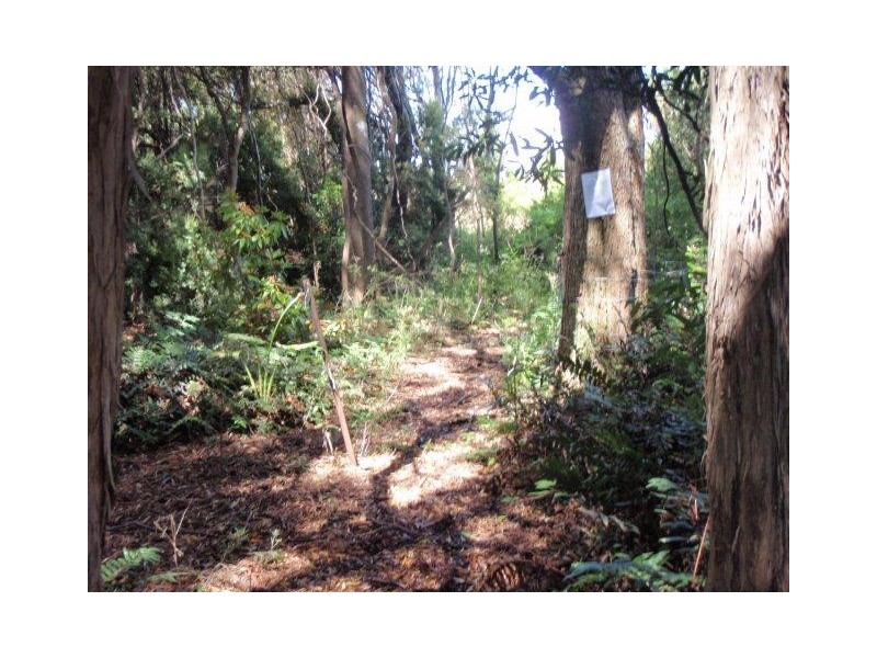 Lot 4 Hamilton Street, Strahan TAS 7468