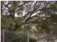 23 Denison Street, Queenstown TAS 7467