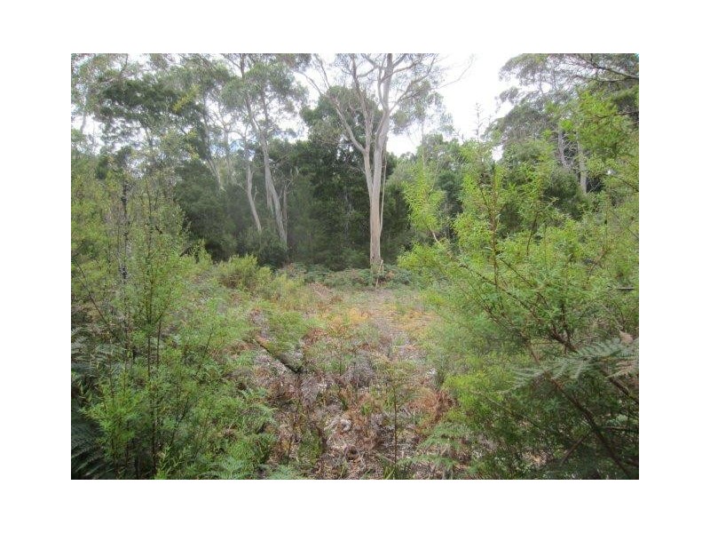 0 Henty Road, Zeehan TAS 7469