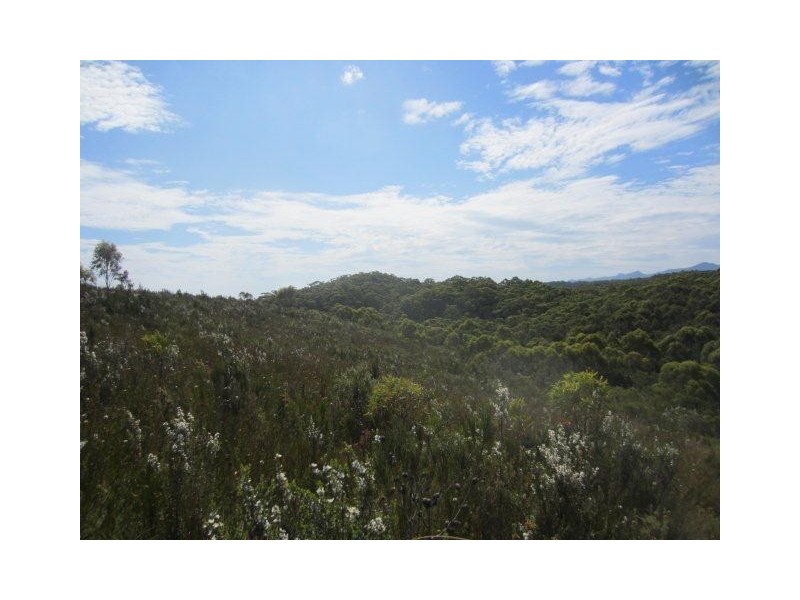 0 Henty Road, Zeehan TAS 7469
