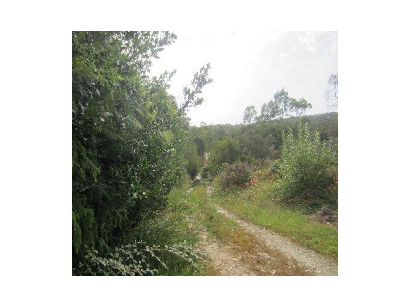 2 Park Street, Strahan TAS 7468