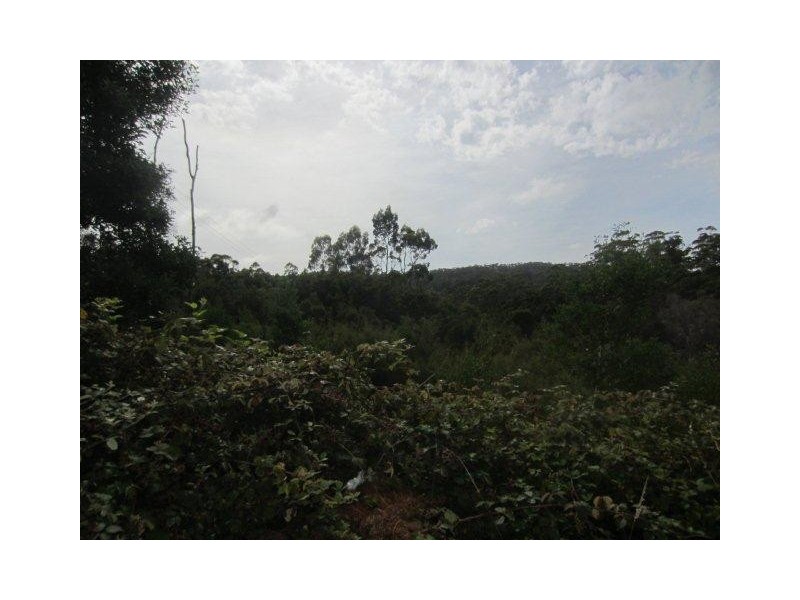 2 Park Street, Strahan TAS 7468