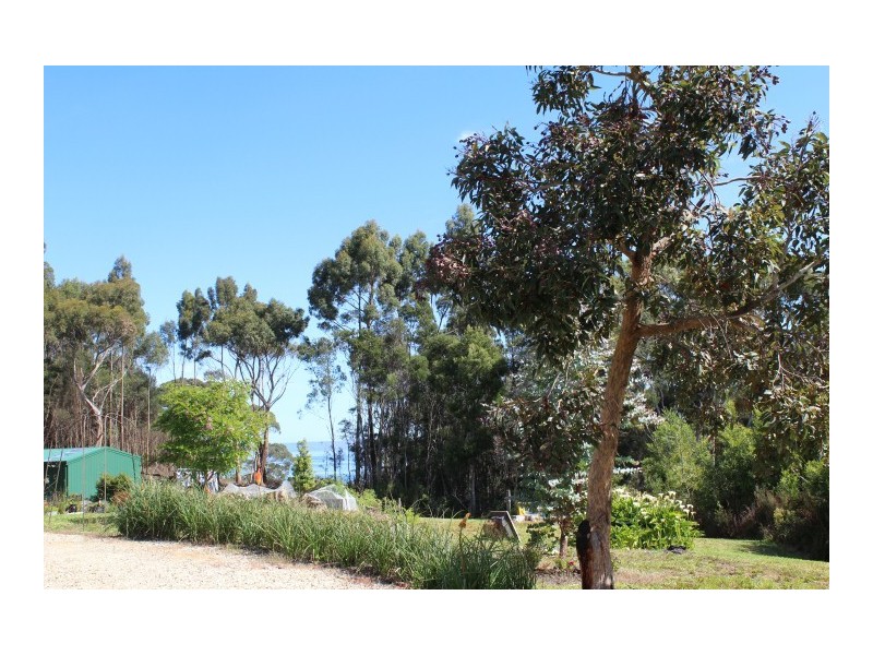 39 Harvey Street, Strahan TAS 7468