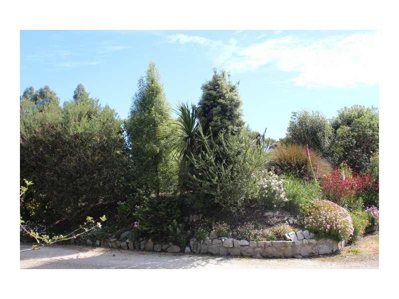 39 Harvey Street, Strahan TAS 7468