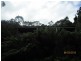 1 Trafford Street, Strahan TAS 7468