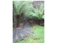 1 Trafford Street, Strahan TAS 7468