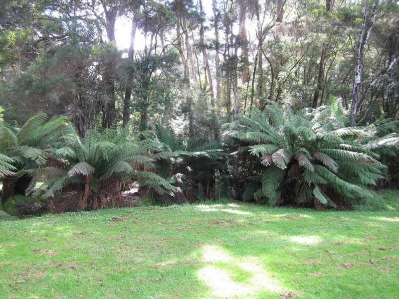 1 Vivian Street, Strahan TAS 7468