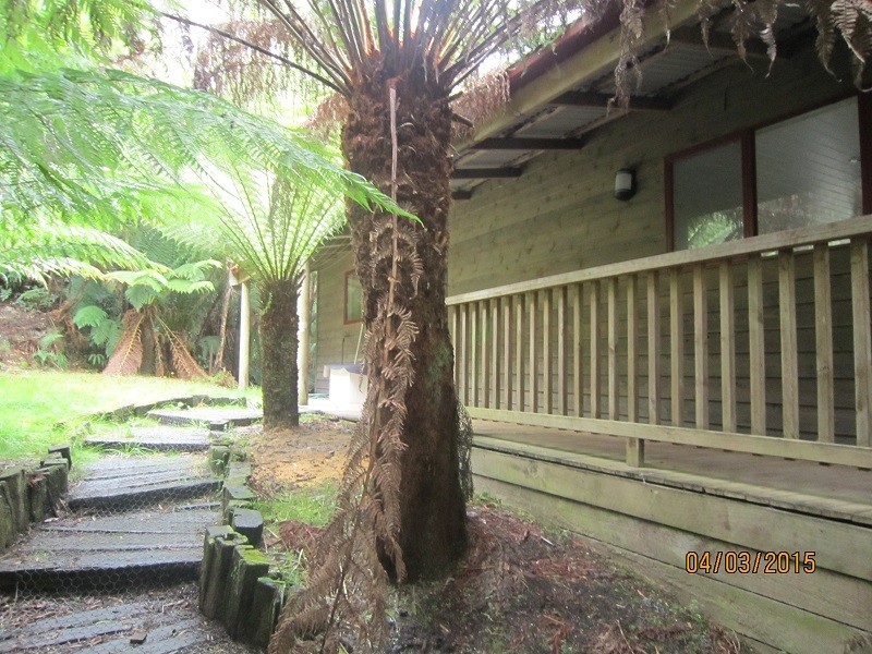 1 Trafford Street, Strahan TAS 7468