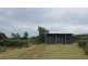 8 Buller Street, Zeehan TAS 7469