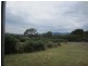 8 Buller Street, Zeehan TAS 7469