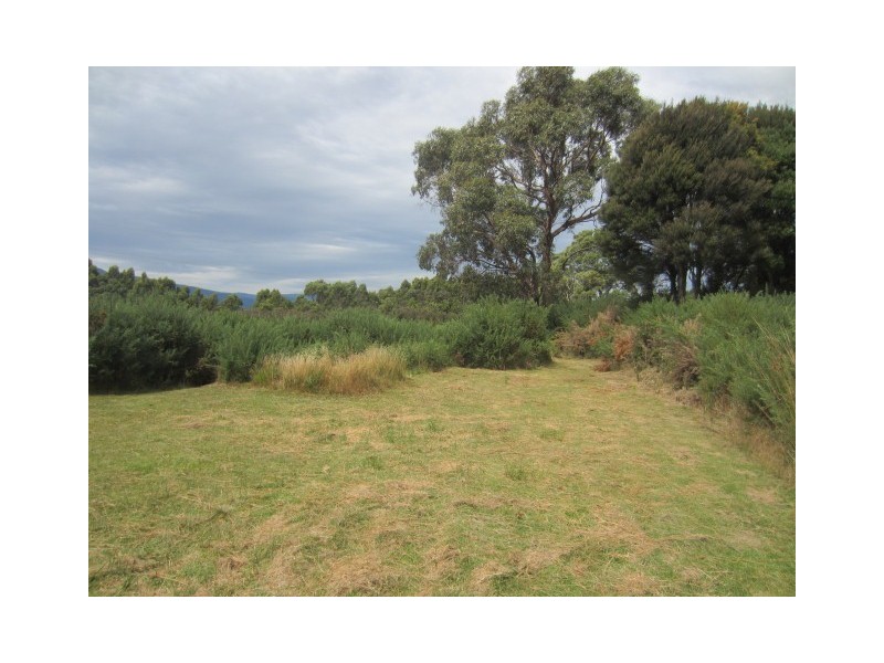 8 Buller Street, Zeehan TAS 7469