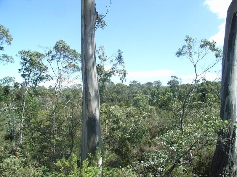 Randalls Bay TAS 7112