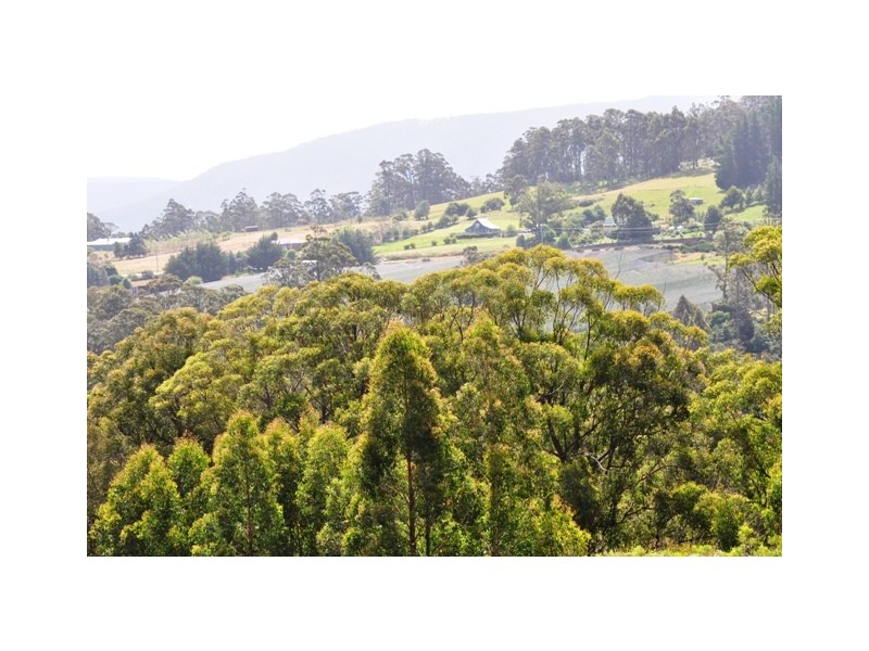 Lower Longley TAS 7109