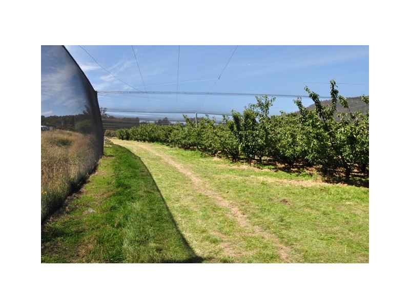 Lower Longley TAS 7109