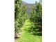 Lower Longley TAS 7109
