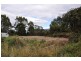 Lune River TAS 7109