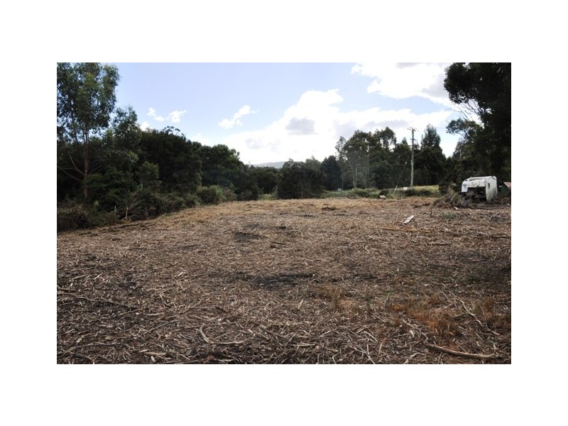 Lune River TAS 7109