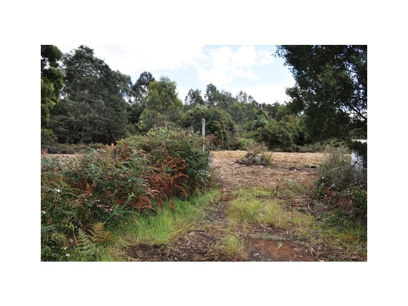 Lune River TAS 7109
