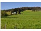 40 Fourfoot Rd, Geeveston TAS 7116