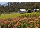 Lower Wattle Grove TAS 7109