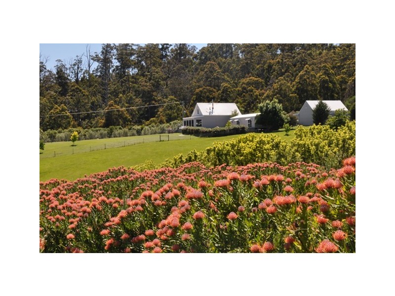 Lower Wattle Grove TAS 7109
