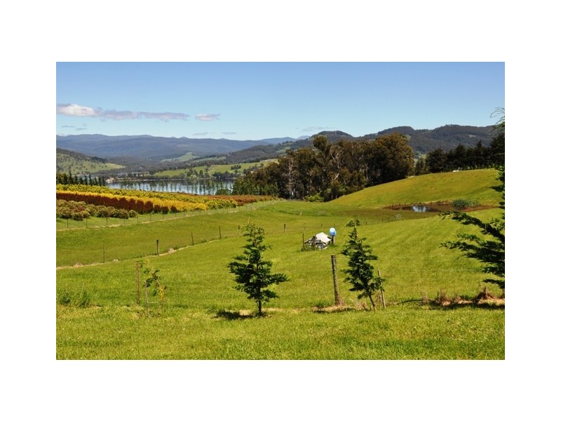 Lower Wattle Grove TAS 7109