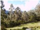 Mountain River TAS 7109
