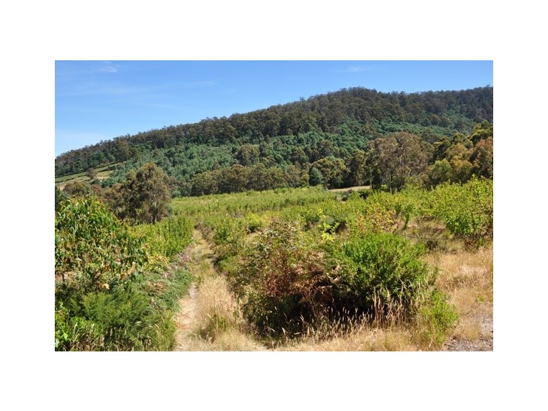 Petcheys Bay TAS 7109