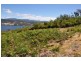 Petcheys Bay TAS 7109