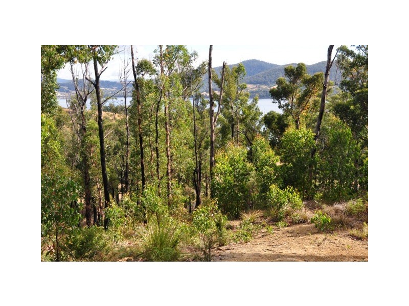 Brooks Bay TAS 7116