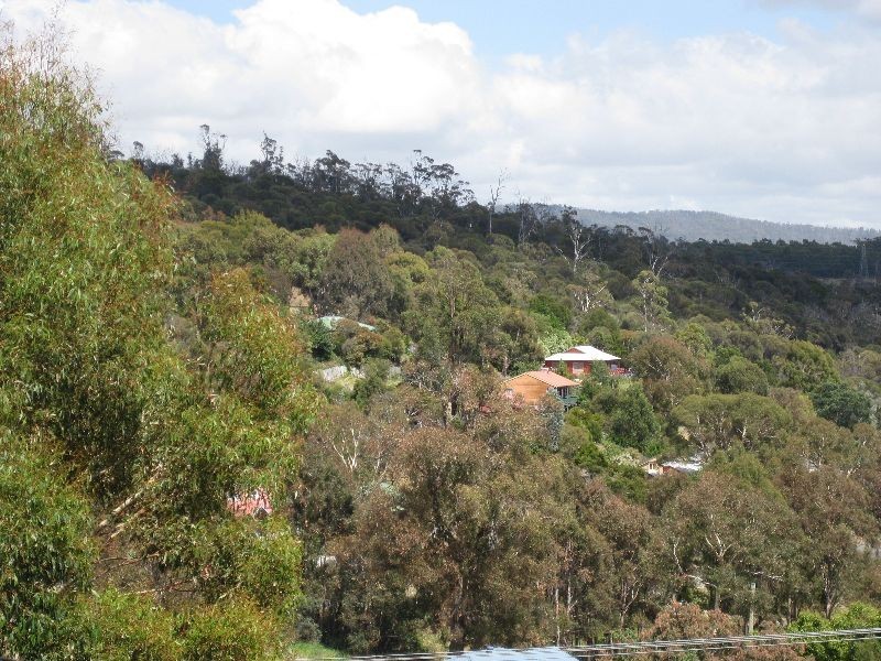 61 Outram Street, Summerhill TAS 7250