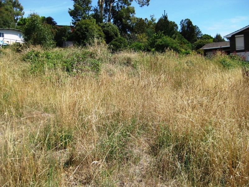 19 Nichols Street, Kings Meadows TAS 7249