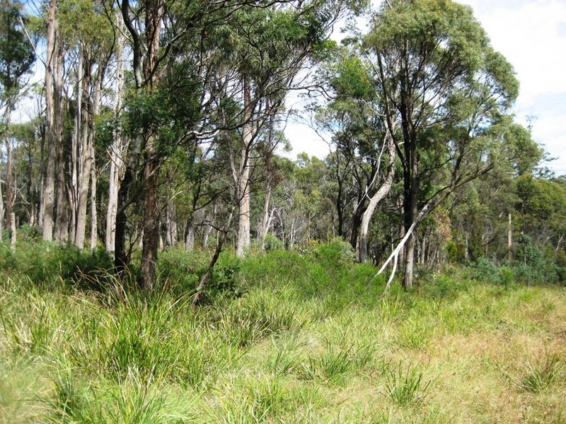 . Hillwood Road, Hillwood TAS 7252