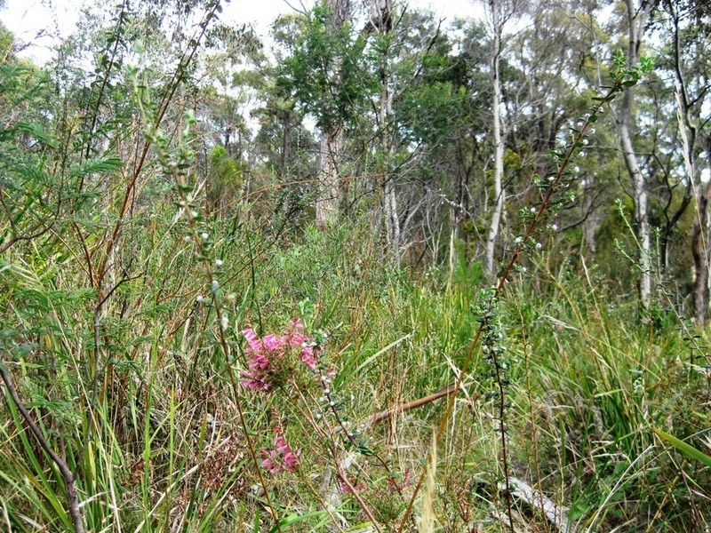 . Hillwood Road, Hillwood TAS 7252