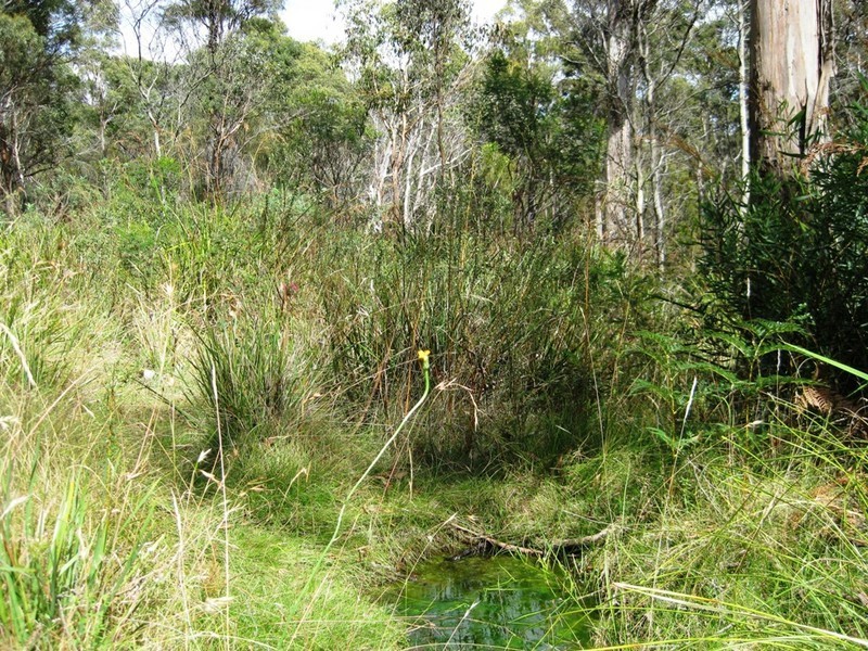 . Hillwood Road, Hillwood TAS 7252