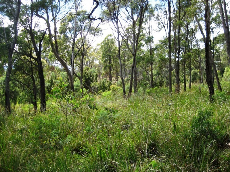 . Hillwood Road, Hillwood TAS 7252