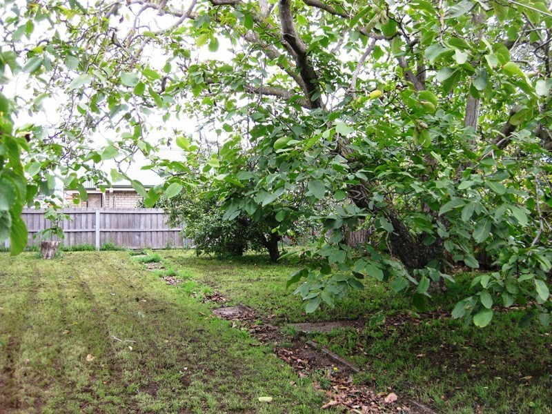 11 Oswald Street, Invermay TAS 7248