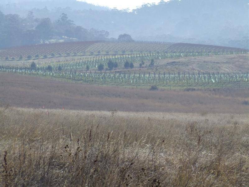 0 GLEBE HILL ESTATE, Howrah TAS 7018