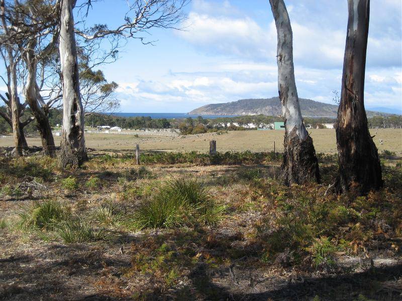 75 Musks Road, Sandford TAS 7020