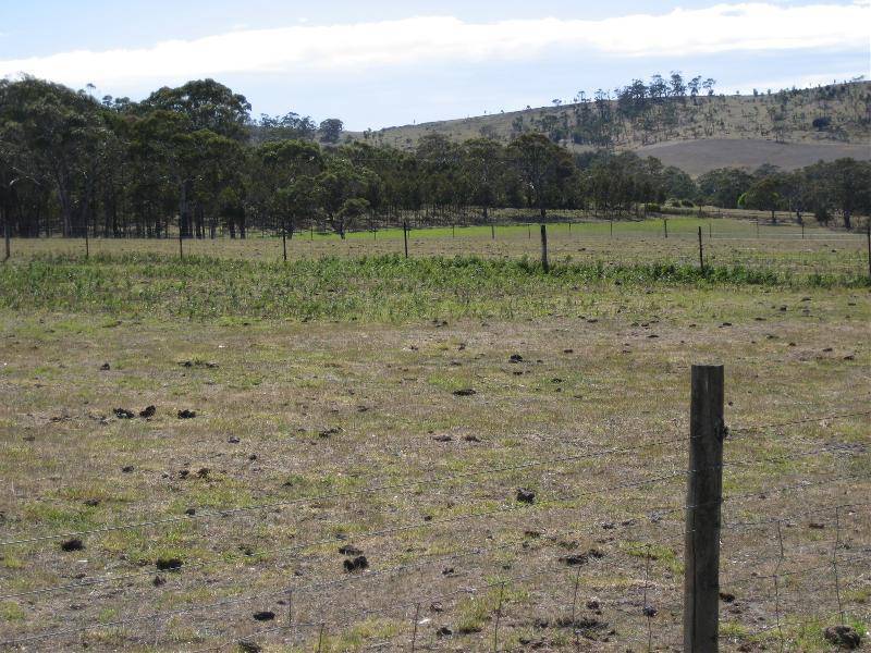 75 Musks Road, Sandford TAS 7020